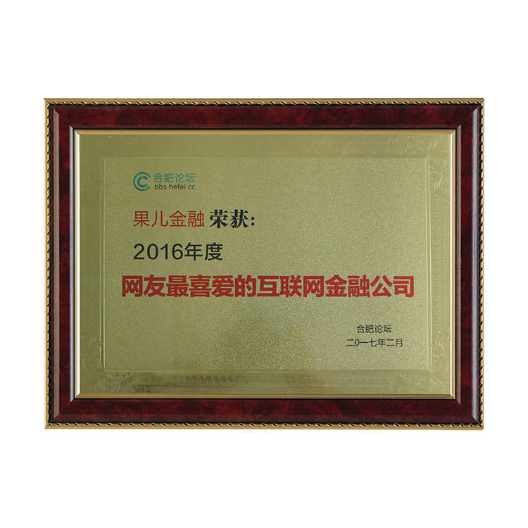 2016年度网友最喜爱的互联网金融公司